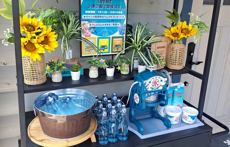 夏の体験
